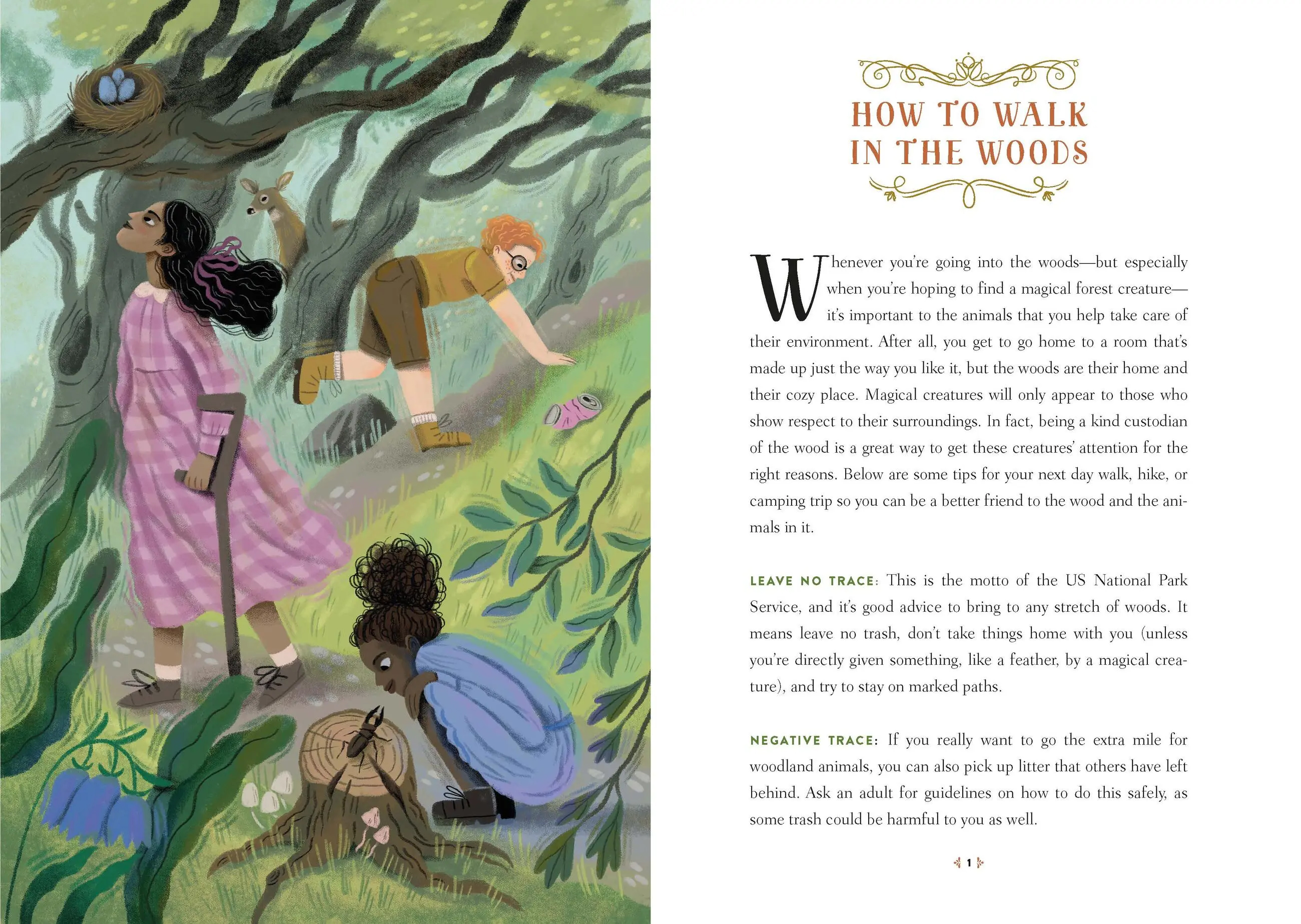 How to Spot a Magical Woodland Creature: A Field Guide to Enchanted Forest Animals cover