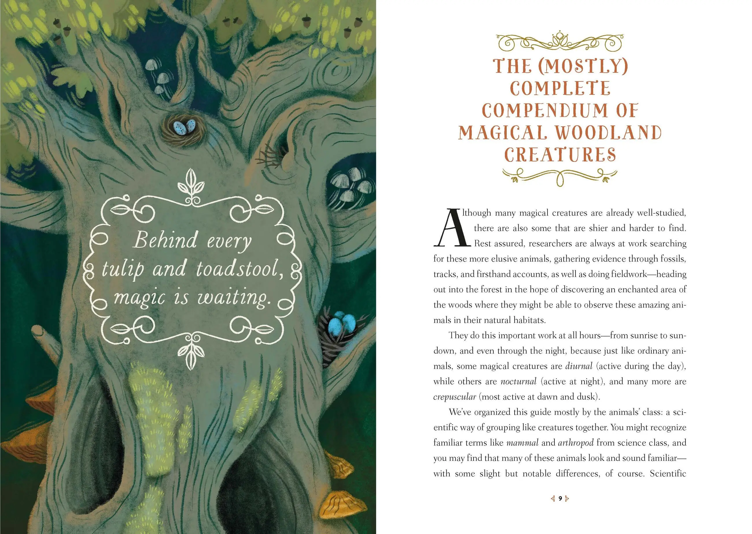 How to Spot a Magical Woodland Creature: A Field Guide to Enchanted Forest Animals cover