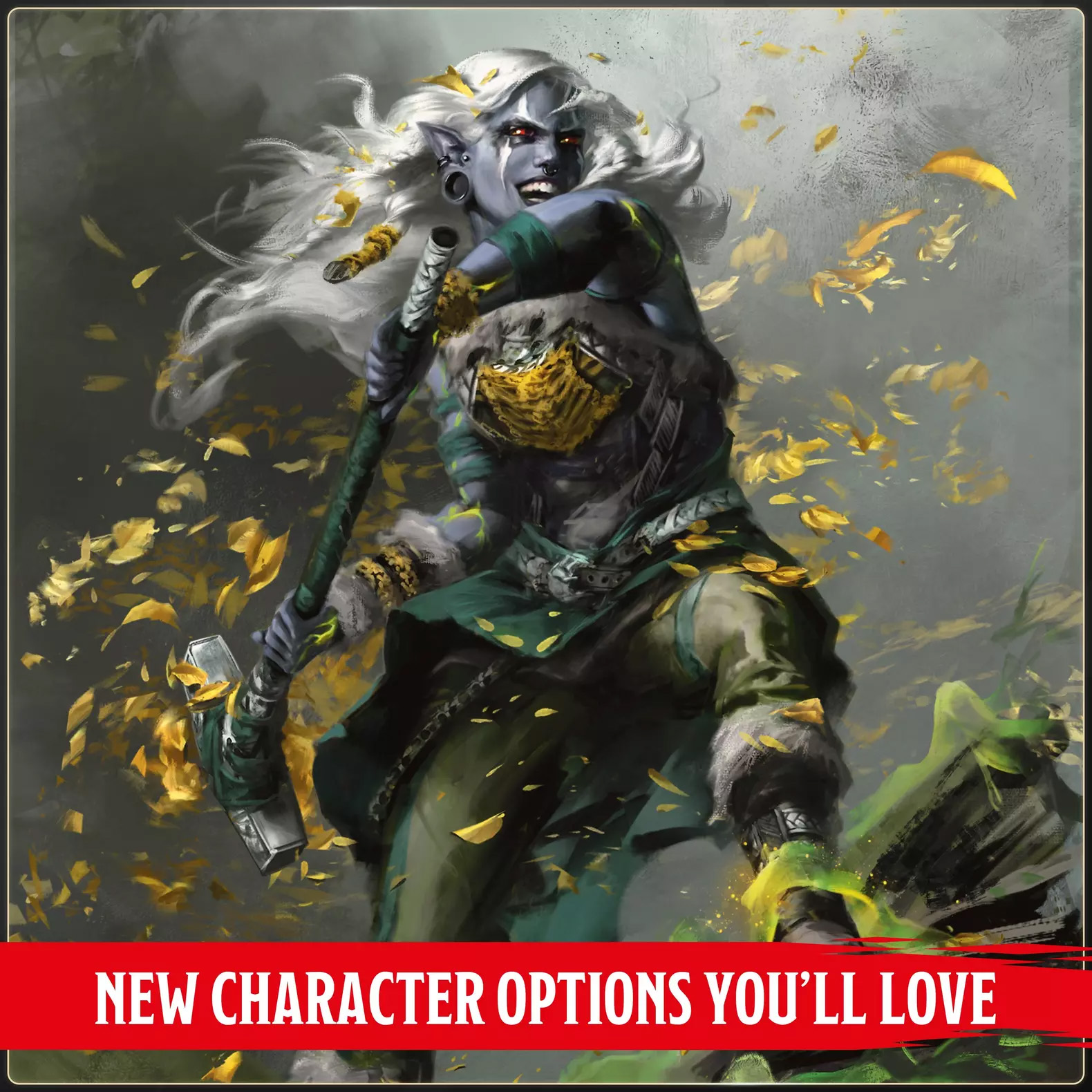 D&D Player's Handbook 2024 cover