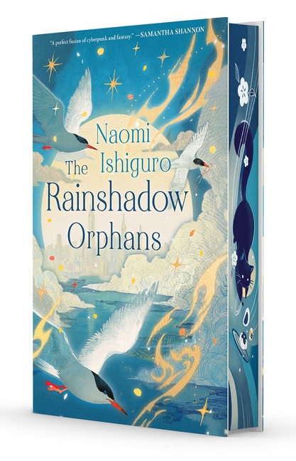 The Rainshadow Orphans: The Rainshadow Series, Book One cover